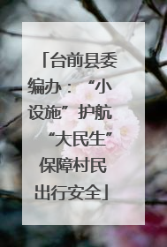 台前县委编办：“小设施”护航“大民生” 保障村民出行安全