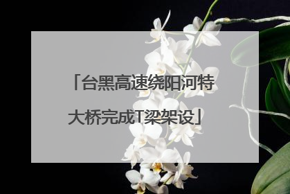 台黑高速绕阳河特大桥完成T梁架设