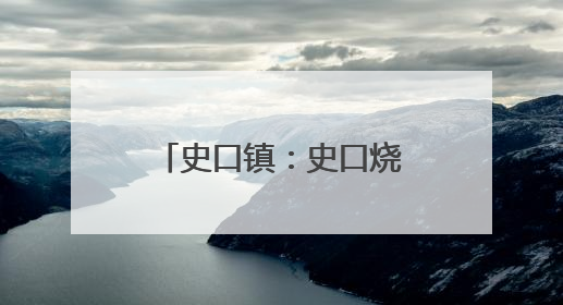 史口镇：史口烧鸡香飘黄河大集 传统美食受热捧
