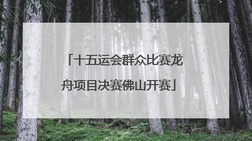 十五运会群众比赛龙舟项目决赛佛山开赛