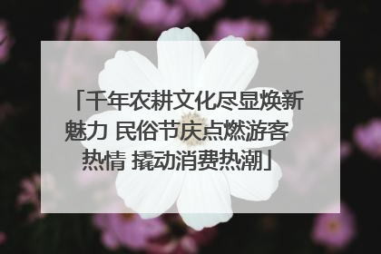 千年农耕文化尽显焕新魅力 民俗节庆点燃游客热情 撬动消费热潮