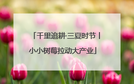千里追耕·三夏时节丨小小树莓拉动大产业