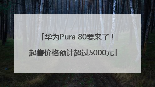 华为Pura 80要来了！起售价格预计超过5000元