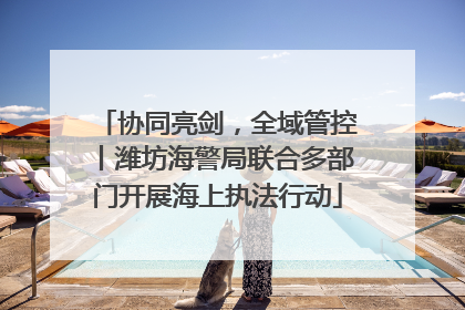 协同亮剑，全域管控丨潍坊海警局联合多部门开展海上执法行动