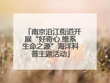 南京沿江街道开展“好奇心 维系生命之源”海洋科普主题活动