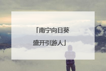 南宁向日葵盛开引游人
