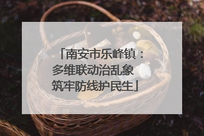 南安市乐峰镇：多维联动治乱象 筑牢防线护民生