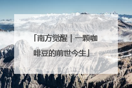 南方觉醒｜一颗咖啡豆的前世今生