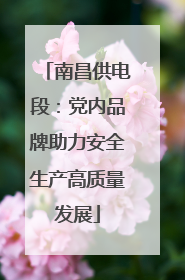 南昌供电段：党内品牌助力安全生产高质量发展