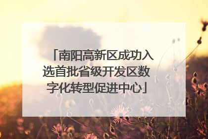 南阳高新区成功入选首批省级开发区数字化转型促进中心