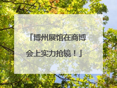 博州展馆在商博会上实力抢镜！