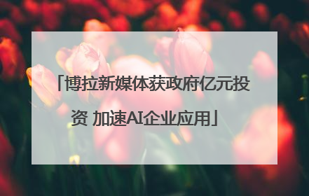 博拉新媒体获政府亿元投资 加速AI企业应用