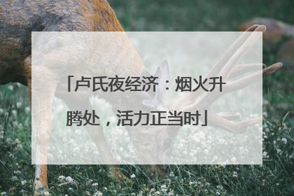 卢氏夜经济：烟火升腾处，活力正当时