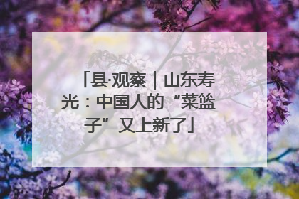 县·观察｜山东寿光：中国人的“菜篮子”又上新了