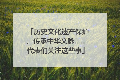 历史文化遗产保护、传承中华文脉……代表们关注这些事