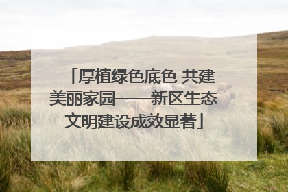 厚植绿色底色 共建美丽家园——新区生态文明建设成效显著