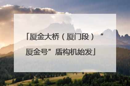 厦金大桥（厦门段）“厦金号”盾构机始发