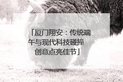 厦门翔安：传统端午与现代科技碰撞 创意点亮佳节