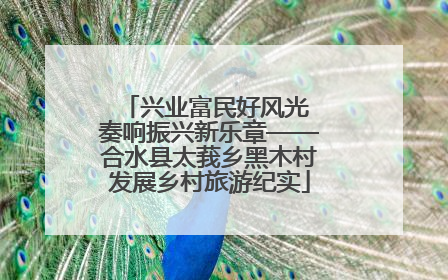 兴业富民好风光 奏响振兴新乐章——合水县太莪乡黑木村发展乡村旅游纪实