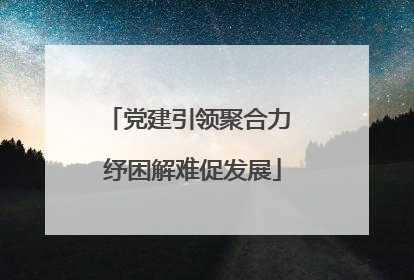 党建引领聚合力 纾困解难促发展