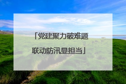 党建聚力破难题 联动防汛显担当