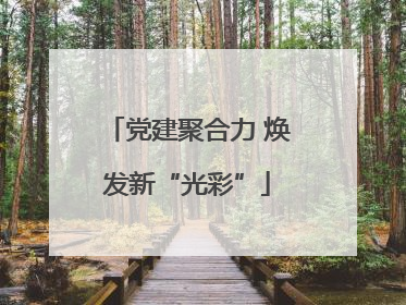 党建聚合力 焕发新“光彩”