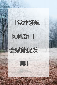 党建领航风帆劲 工会赋能促发展