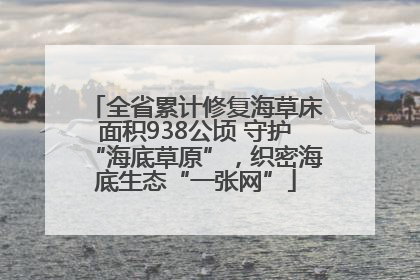 全省累计修复海草床面积938公顷 守护“海底草原”，织密海底生态“一张网”