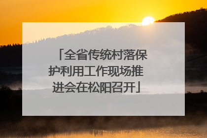 全省传统村落保护利用工作现场推进会在松阳召开