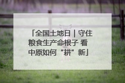 全国土地日｜守住粮食生产命根子 看中原如何“耕”新