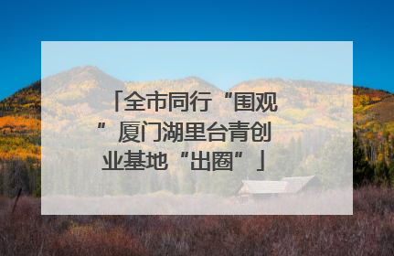 全市同行“围观”厦门湖里台青创业基地“出圈”