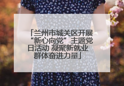 兰州市城关区开展“新心向党”主题党日活动 凝聚新就业群体奋进力量