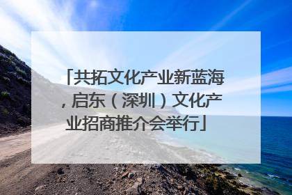 共拓文化产业新蓝海，启东（深圳）文化产业招商推介会举行