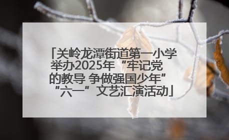关岭龙潭街道第一小学举办2025年“牢记党的教导 争做强国少年”“六一”文艺汇演活动
