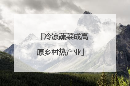 冷凉蔬菜成高原乡村热产业