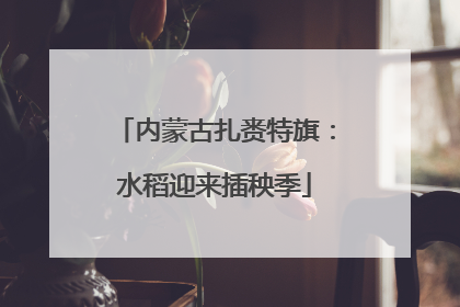内蒙古扎赉特旗：水稻迎来插秧季