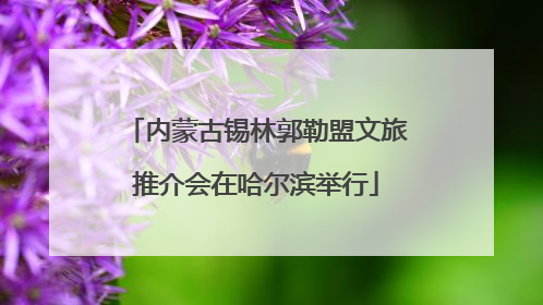 内蒙古锡林郭勒盟文旅推介会在哈尔滨举行