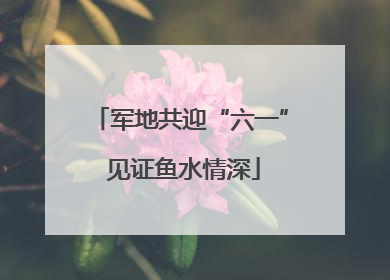 军地共迎“六一” 见证鱼水情深
