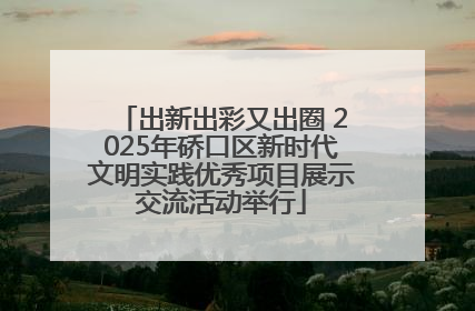 出新出彩又出圈 2025年硚口区新时代文明实践优秀项目展示交流活动举行