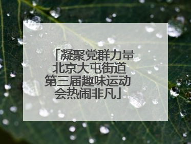 凝聚党群力量 北京大屯街道第三届趣味运动会热闹非凡