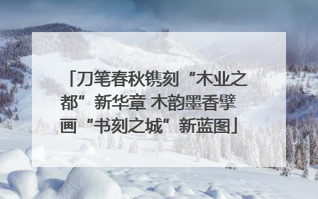 刀笔春秋镌刻“木业之都”新华章 木韵墨香擘画“书刻之城”新蓝图