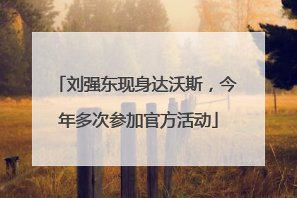刘强东现身达沃斯，今年多次参加官方活动