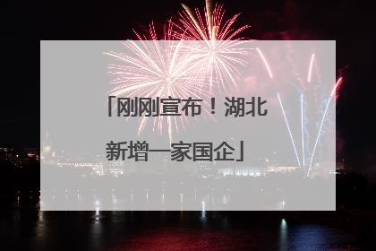 刚刚宣布！湖北新增一家国企