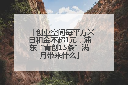 创业空间每平方米日租金不超1元，浦东“青创15条”满月带来什么