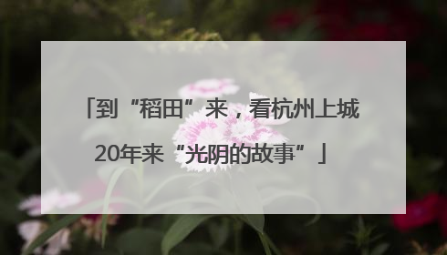 到“稻田”来，看杭州上城20年来“光阴的故事”