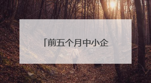 前五个月中小企业产业园入驻企业增长超三成