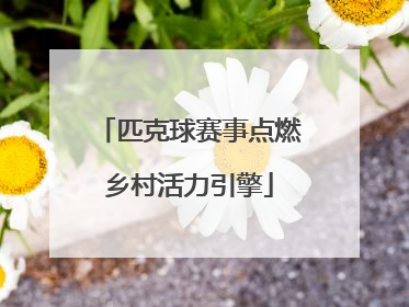 匹克球赛事点燃乡村活力引擎