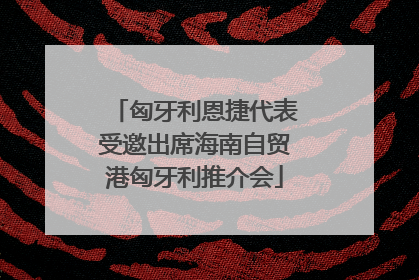 匈牙利恩捷代表受邀出席海南自贸港匈牙利推介会