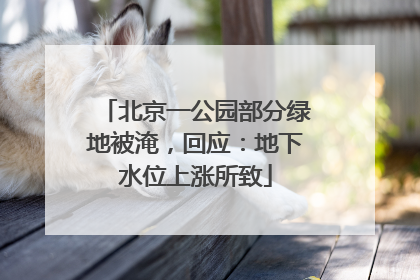 北京一公园部分绿地被淹，回应：地下水位上涨所致
