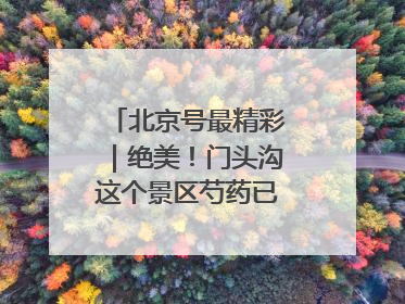 北京号最精彩｜绝美！门头沟这个景区芍药已花开成海